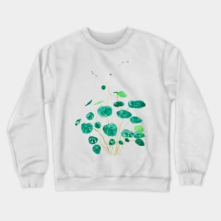 indoor green plant  watercolor Crewneck Sweatshirt